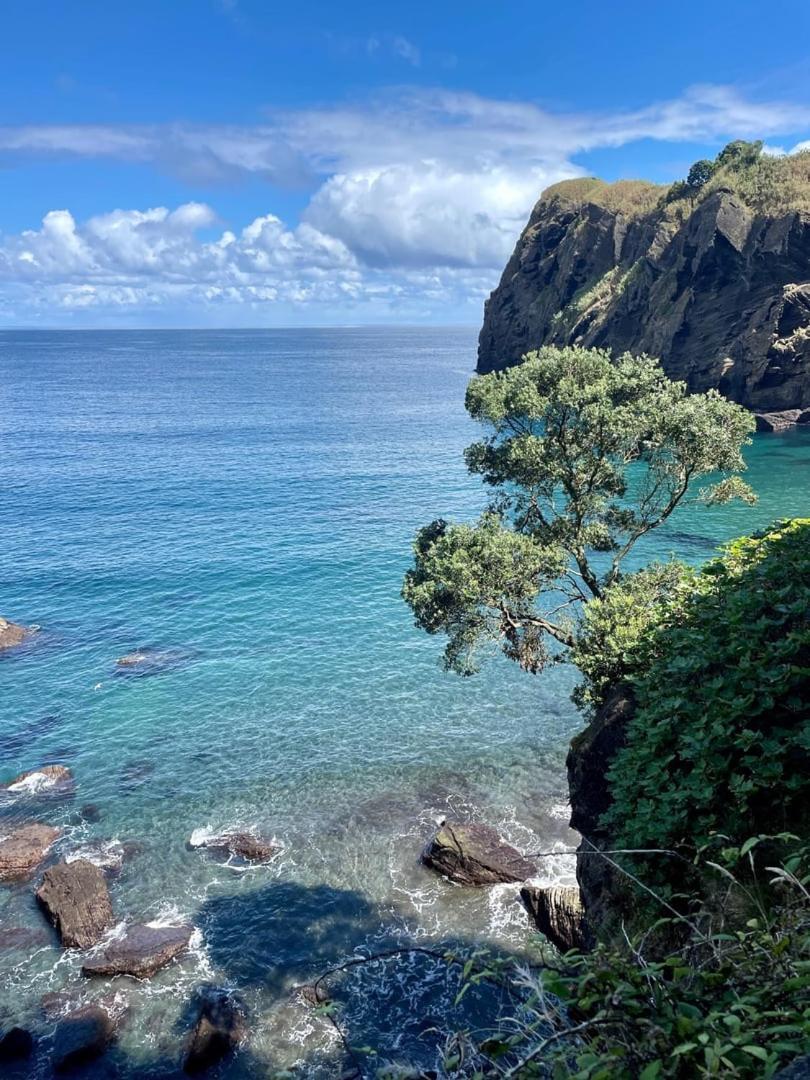 The Blue House Azores Capelas Ngoại thất bức ảnh